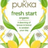 Fresh Start - øko - Pukka Te -MANDALA Butik freshstart z