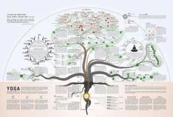 The Yoga Poster - Yoga Plakaten